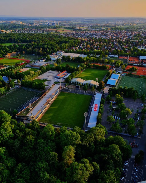 出场的比赛 出场的比赛